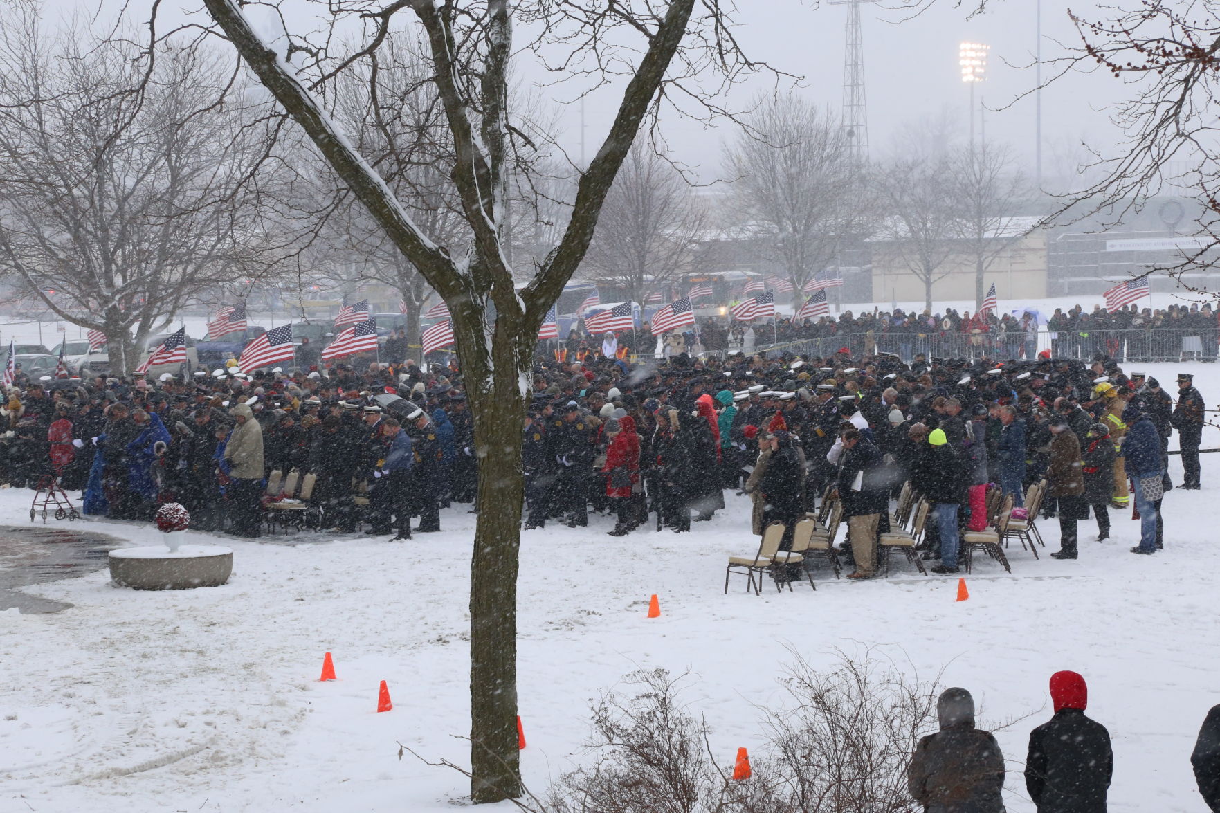 The crowd